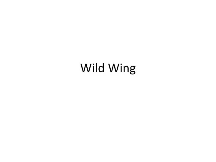 wild wing