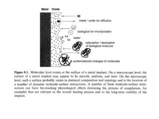 Implant of a Medical Device and the Wound Healing Process