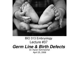 BIO 313 Embryology Lecture #37 Germ Line &amp; Birth Defects