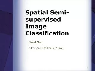 Spatial Semi-supervised Image Classification