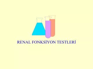 renal fonks yon testler