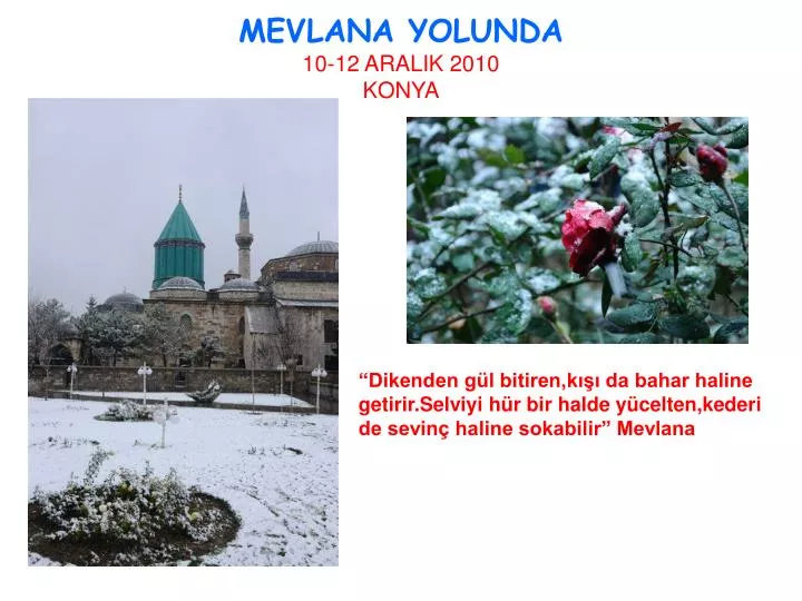 mevlana yolunda 10 12 aralik 2010 konya