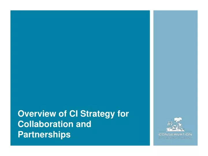 overview of ci strategy for collaboration and partnerships