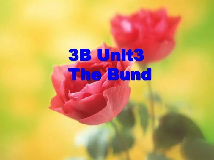 3b unit3 the bund