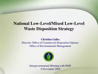 National Low-Level/Mixed Low-Level Waste Disposition Strategy