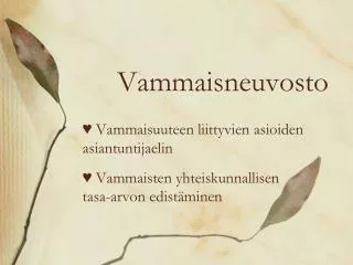 vammaisneuvosto