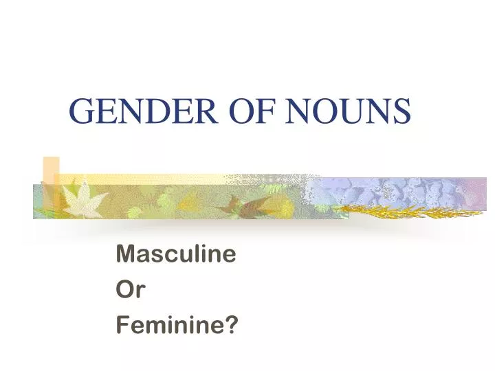 gender of nouns