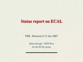 Status report on ECAL