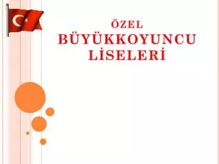 zel b y kkoyuncu l seler