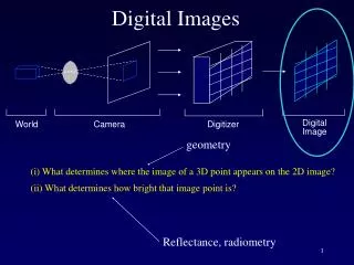 Digital Images