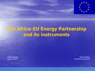 The Africa-EU Energy Partnership and its instruments