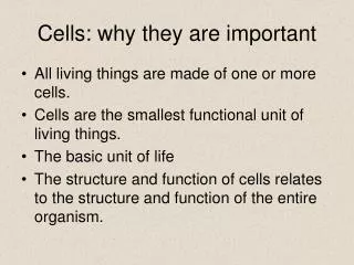 Cells: why they are important