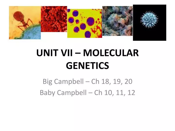 unit vii molecular genetics