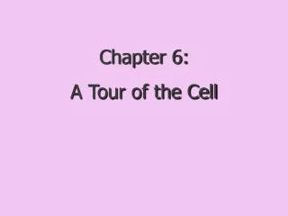 Chapter 6: A Tour of the Cell