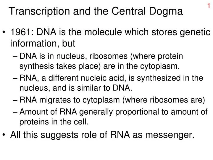 transcription and the central dogma