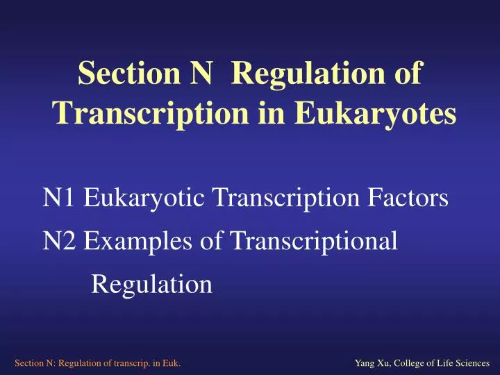 section n regulation of transcription in eukaryotes