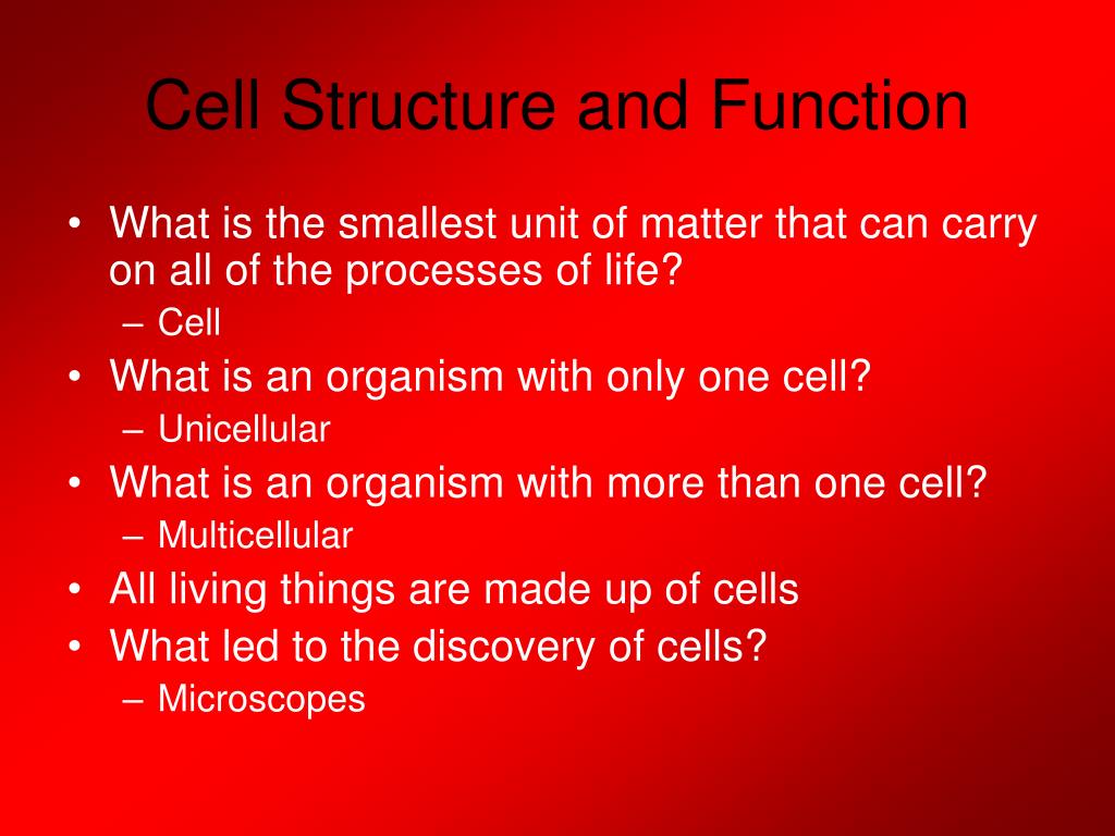 PPT - Cell Structure and Function PowerPoint Presentation, free ...