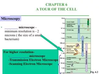 ________ microscope -minimum resolution is - 2 microns ( the size of a small bacterium)