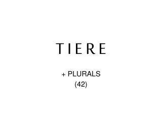 t i e r e