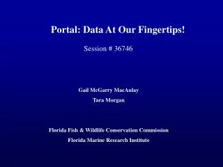 Portal: Data At Our Fingertips!