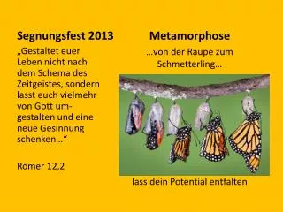 segnungsfest 2013