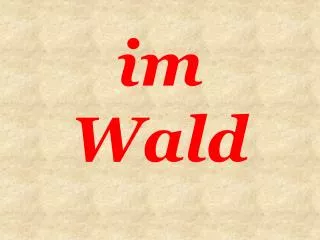 im wald