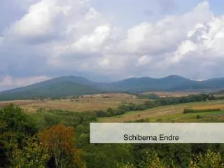 schiberna endre