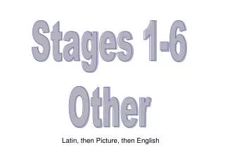 Stages 1-6 Other
