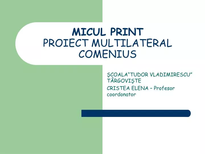 micul print proiect multilateral comenius