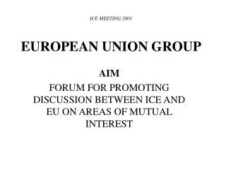 ICE MEETING 2001 EUROPEAN UNION GROUP