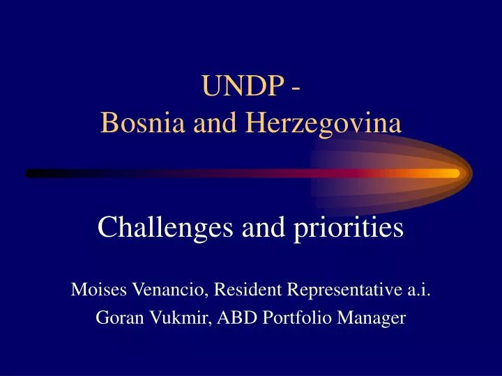 undp bosnia and herzegovina