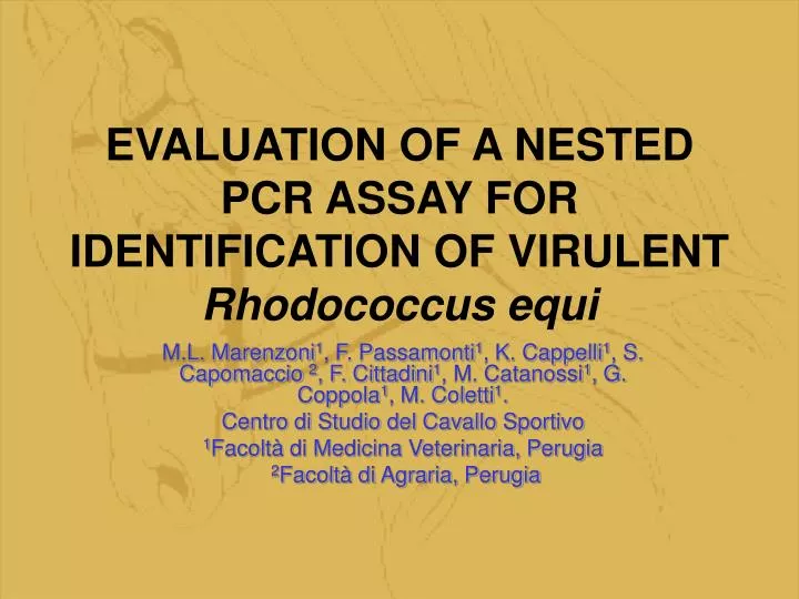 evaluation of a nested pcr assay for identification of virulent rhodococcus equi