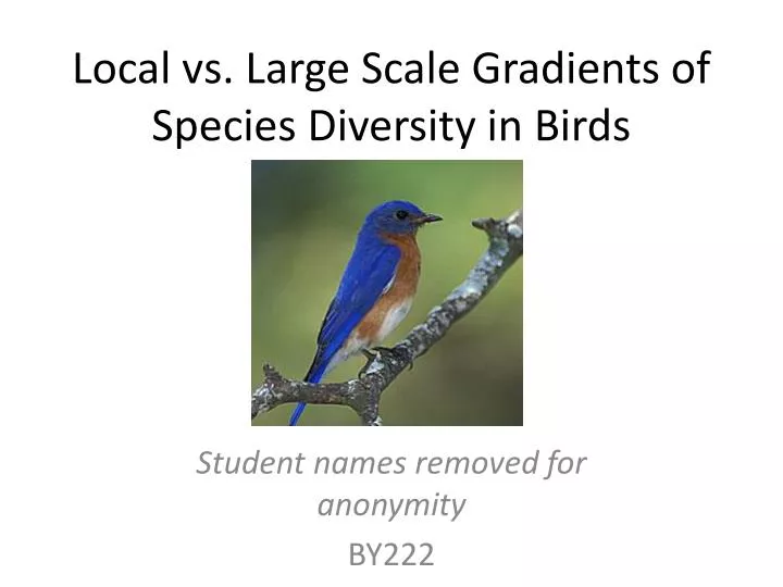 local vs large scale gradients of species diversity in birds