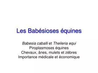 les bab sioses quines
