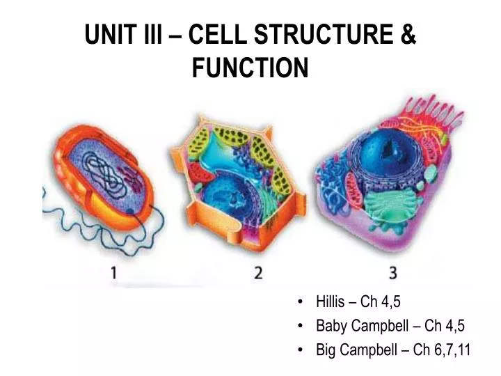 unit iii cell structure function