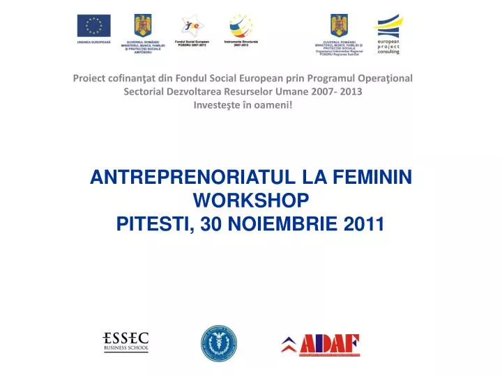 antreprenoriatul la feminin workshop pitesti 30 noiembrie 2011