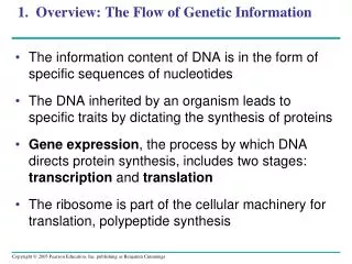 1. Overview: The Flow of Genetic Information