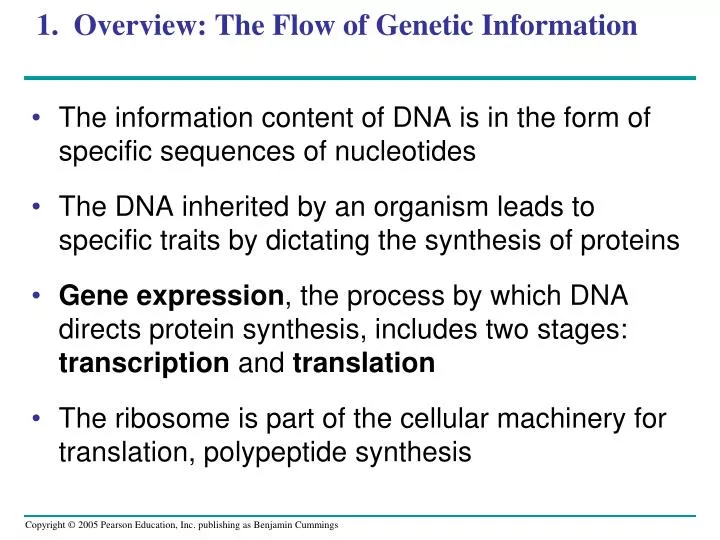 1 overview the flow of genetic information