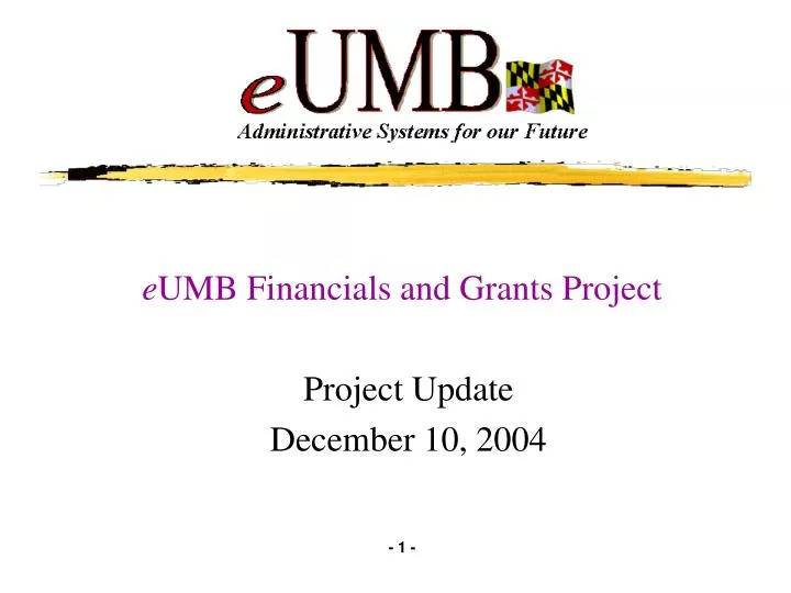 e umb financials and grants project