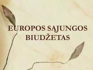 europos s jungos biud etas