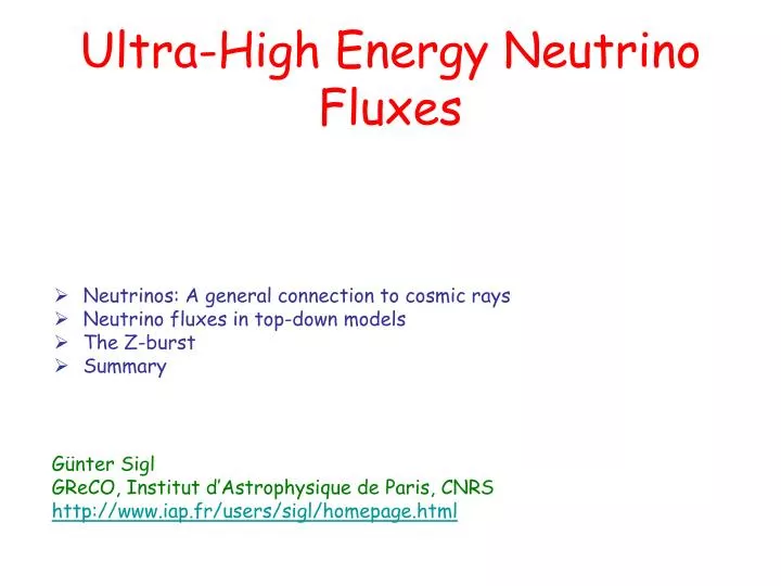 ultra high energy neutrino fluxes