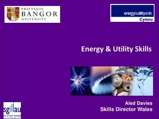 Energy &amp; Utility Skills