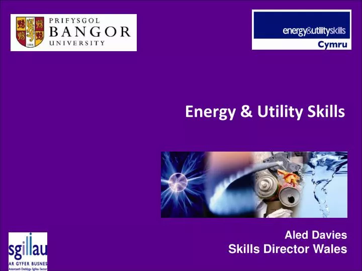 energy utility skills