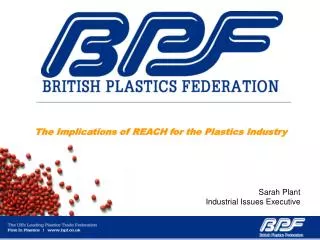 The Implications of REACH for the Plastics Industry