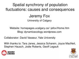 Spatial synchrony of population fluctuations: causes and consequences