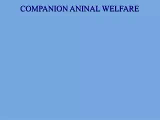 COMPANION ANINAL WELFARE