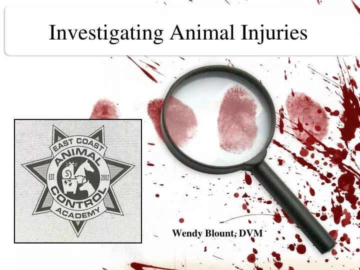 investigating animal injuries