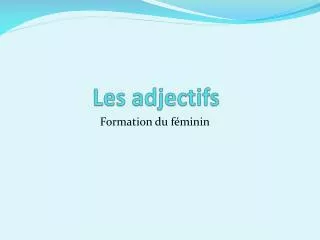 les adjectifs