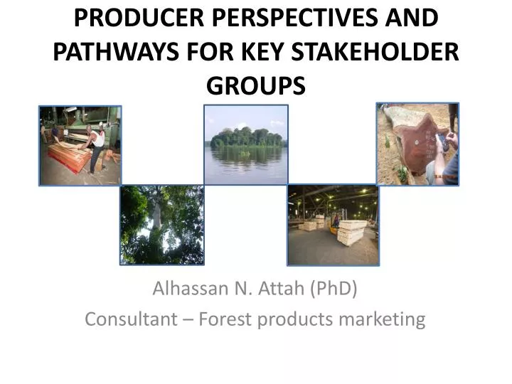 producer perspectives and pathways for key stakeholder groups