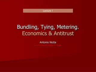 Bundling, Tying, Metering. Economics &amp; Antitrust